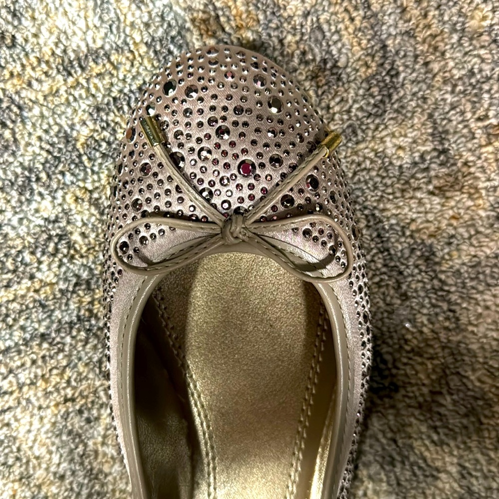 Never worn outside, sparkly flats